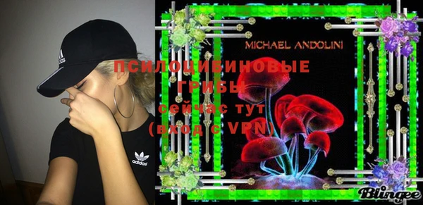 марки lsd Белокуриха