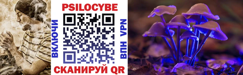 Псилоцибиновые грибы Psilocybine cubensis  Купить где  Катав-Ивановск 